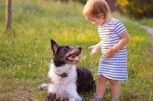 enfant et chien